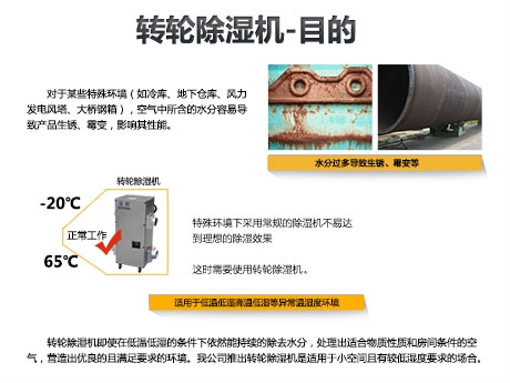 貓糧防潮秘籍，貓糧如何儲存