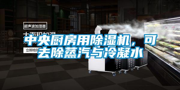 中央廚房用除濕機(jī)，可去除蒸汽與冷凝水