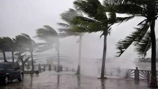 8月臺風(fēng)雨即將來，除濕機還得用起來