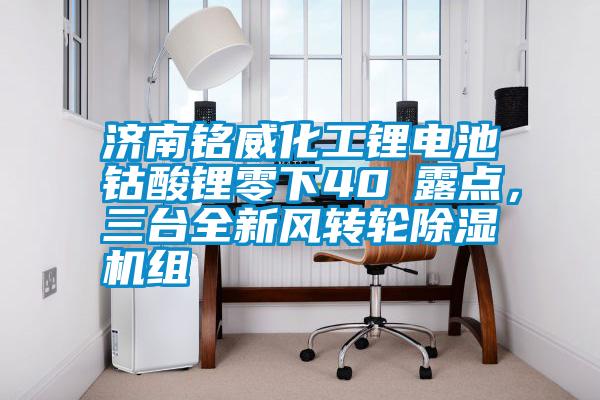 濟南銘威化工鋰電池鈷酸鋰零下40℃露點，三臺全新風轉輪除濕機組