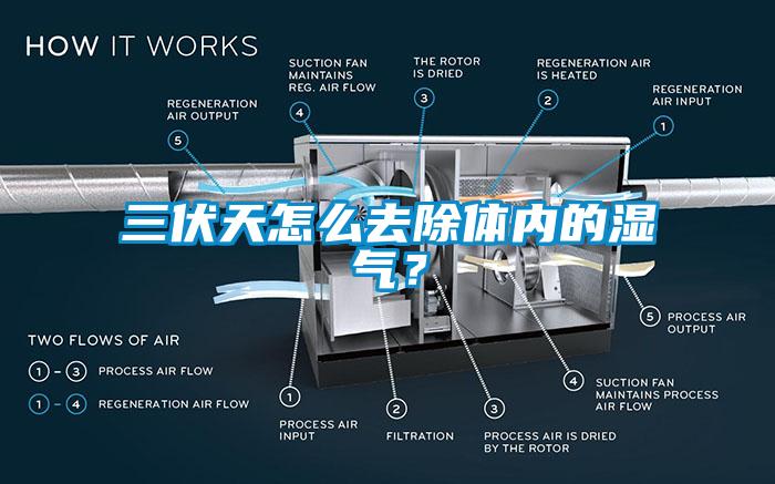 三伏天怎么去除體內(nèi)的濕氣？