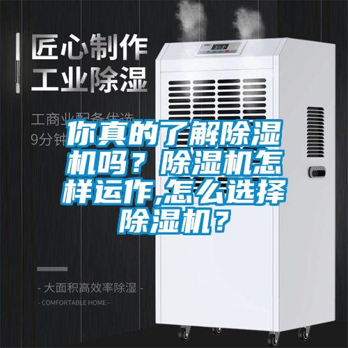 你真的了解除濕機(jī)嗎？除濕機(jī)怎樣運(yùn)作,怎么選擇除濕機(jī)？