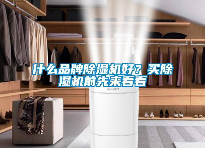 什么品牌除濕機好？買除濕機前先來看看