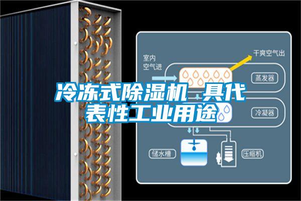 冷凍式除濕機 具代表性工業(yè)用途