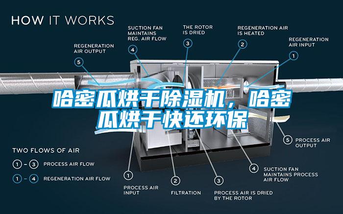 哈密瓜烘干除濕機(jī)，哈密瓜烘干快還環(huán)保