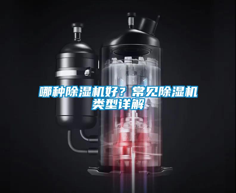 哪種除濕機好？常見除濕機類型詳解