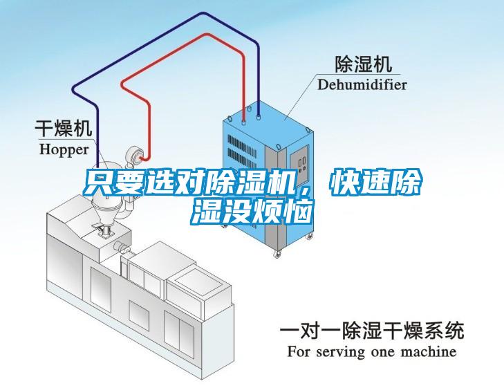 只要選對除濕機，快速除濕沒煩惱