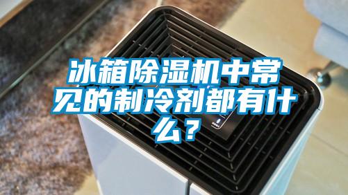 冰箱除濕機中常見的制冷劑都有什么？