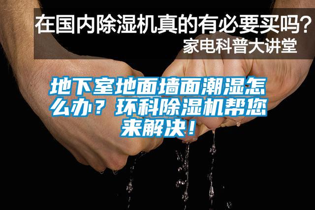 地下室地面墻面潮濕怎么辦？環(huán)科除濕機(jī)幫您來(lái)解決！