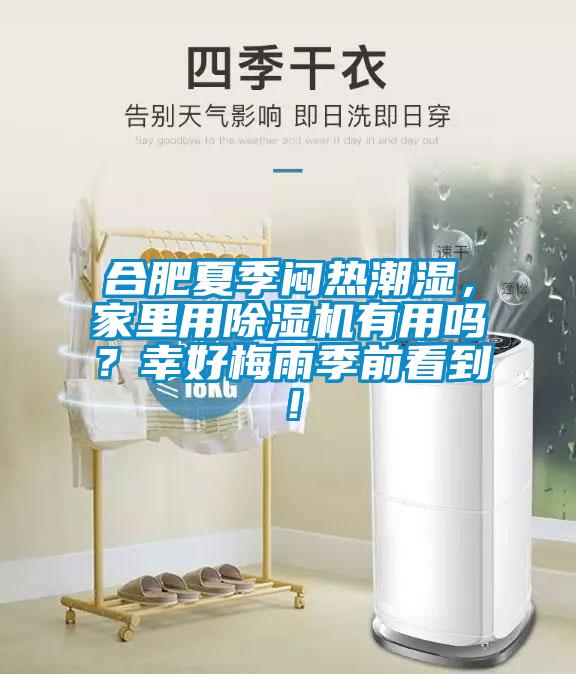 合肥夏季悶熱潮濕，家里用除濕機有用嗎？幸好梅雨季前看到！