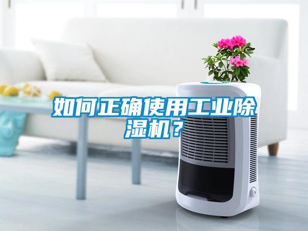 如何正確使用工業(yè)除濕機？