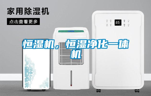 恒濕機，恒濕凈化一體機