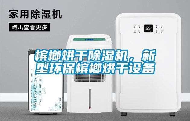 檳榔烘干除濕機，新型環(huán)保檳榔烘干設備