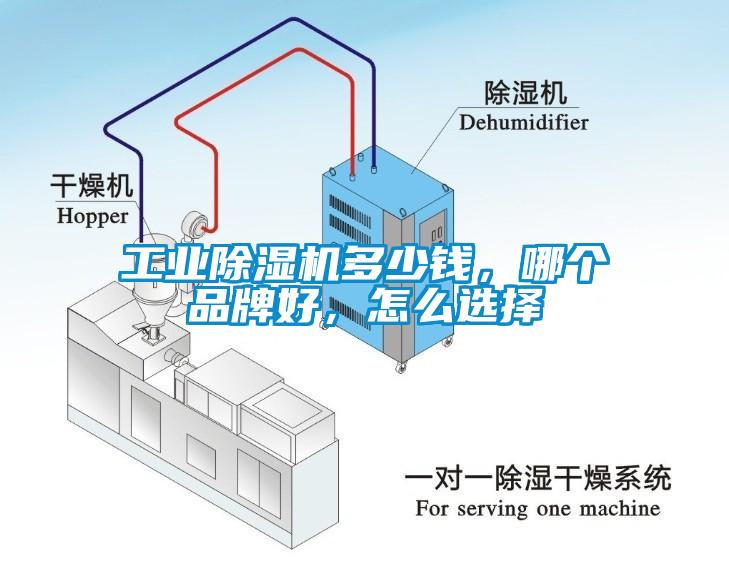 工業(yè)除濕機(jī)多少錢(qián)，哪個(gè)品牌好，怎么選擇