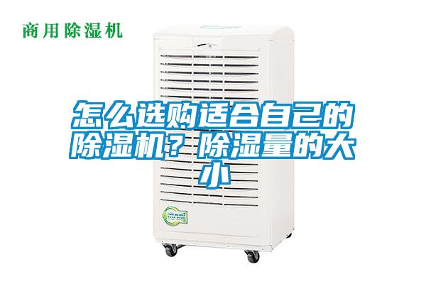 怎么選購適合自己的除濕機(jī)？除濕量的大小