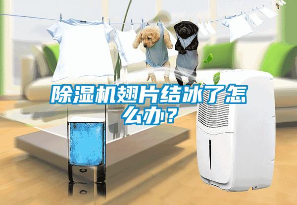 除濕機翅片結(jié)冰了怎么辦？