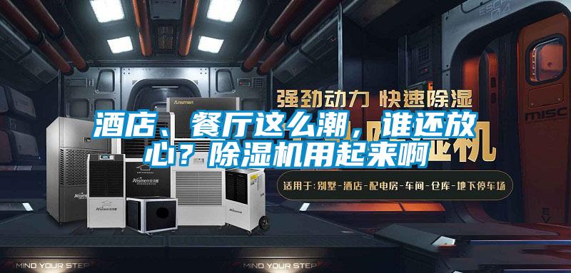 酒店、餐廳這么潮，誰還放心？除濕機用起來啊