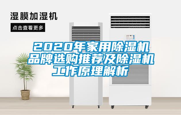 2020年家用除濕機(jī)品牌選購(gòu)?fù)扑]及除濕機(jī)工作原理解析