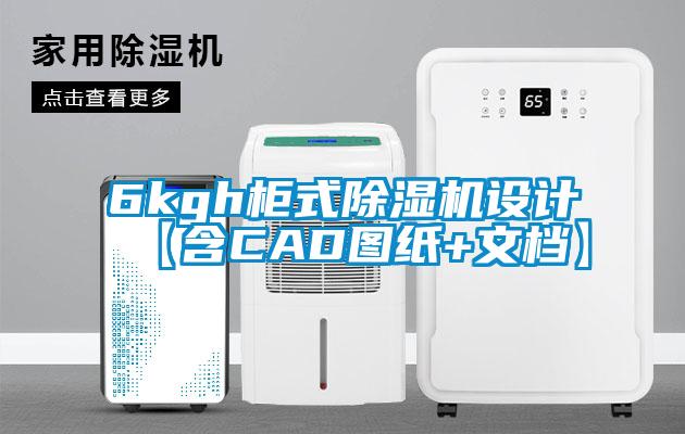 6kgh柜式除濕機設(shè)計【含CAD圖紙+文檔】