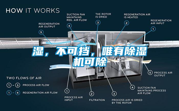 濕，不可擋，唯有除濕機(jī)可除