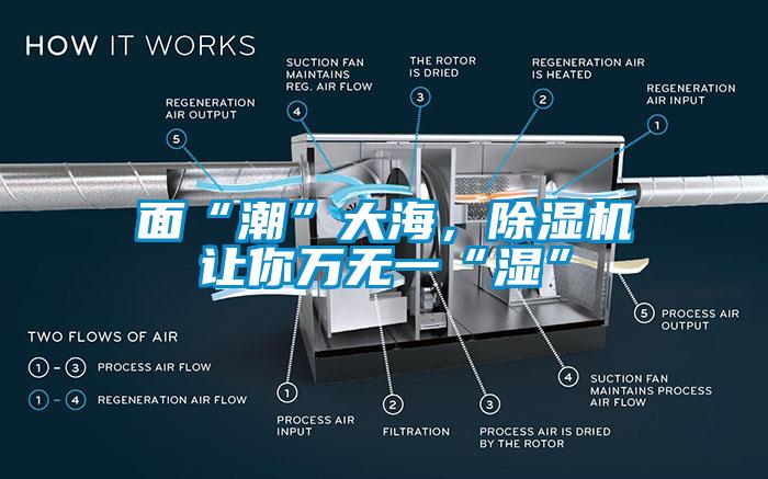 面“潮”大海，除濕機讓你萬無一“濕”