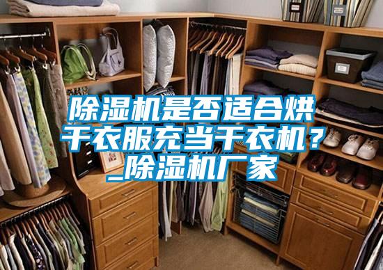 除濕機是否適合烘干衣服充當干衣機？_除濕機廠家