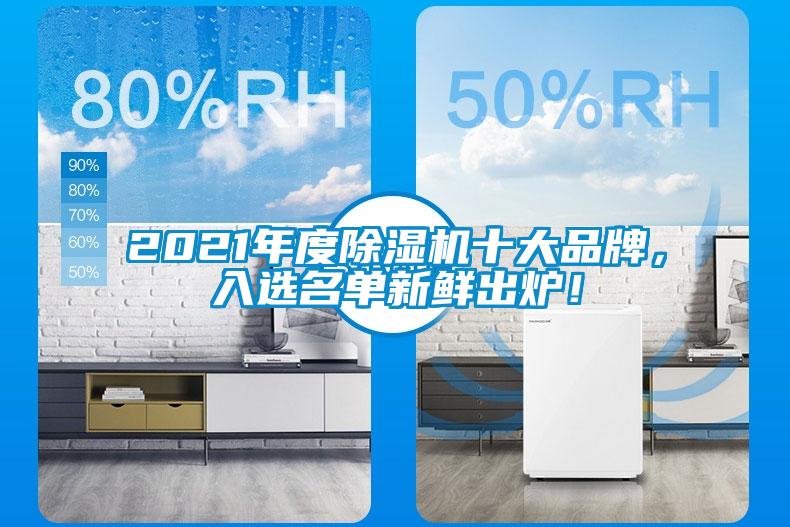 2021年度除濕機(jī)十大品牌，入選名單新鮮出爐！