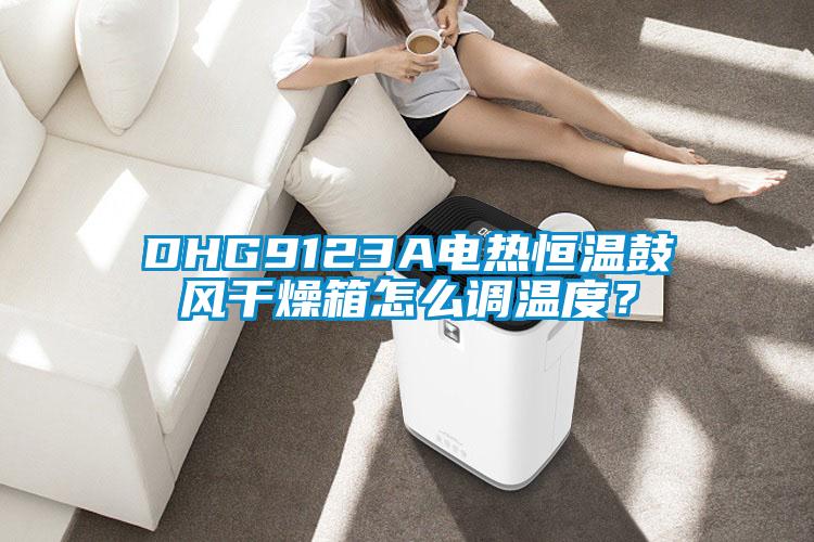 DHG9123A電熱恒溫鼓風干燥箱怎么調(diào)溫度？