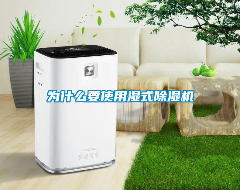 為什么要使用濕式除濕機