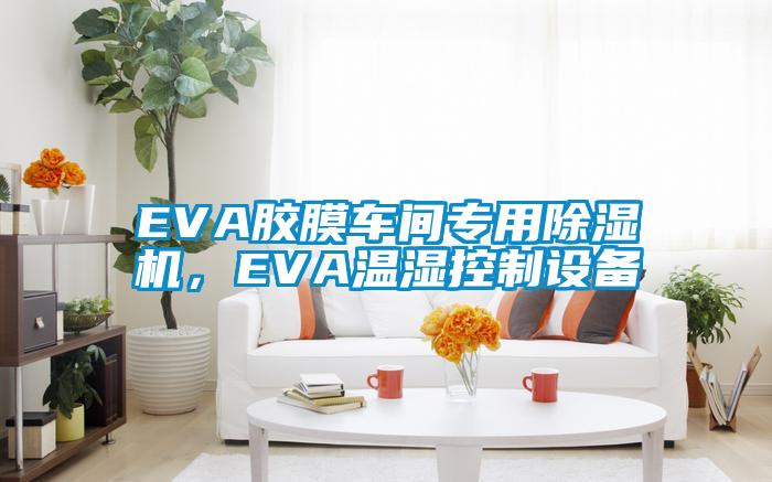 EVA膠膜車間專用除濕機(jī)，EVA溫濕控制設(shè)備