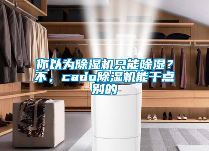 你以為除濕機只能除濕？不，cado除濕機能干點別的