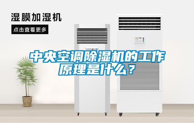 中央空調(diào)除濕機的工作原理是什么？