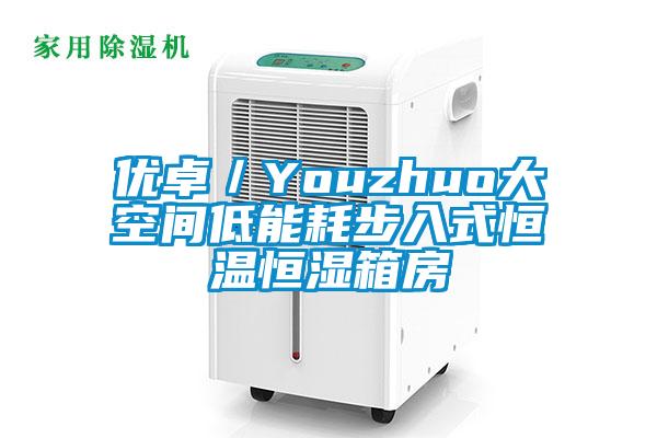 優(yōu)卓／Youzhuo大空間低能耗步入式恒溫恒濕箱房