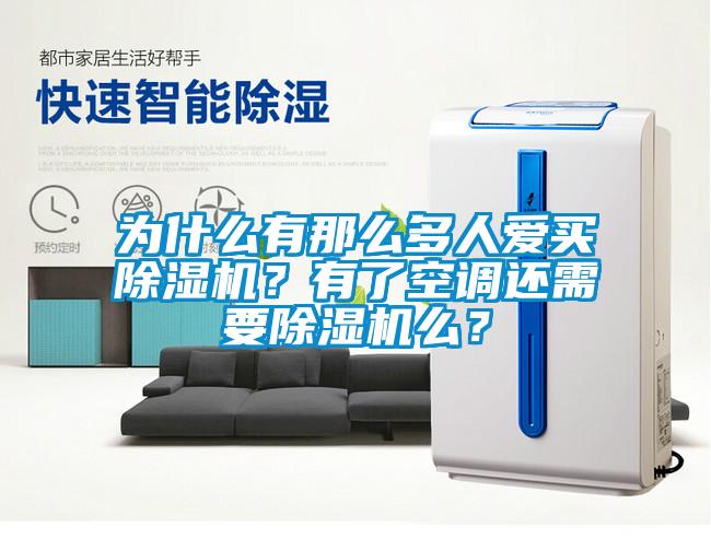 為什么有那么多人愛買除濕機？有了空調還需要除濕機么？