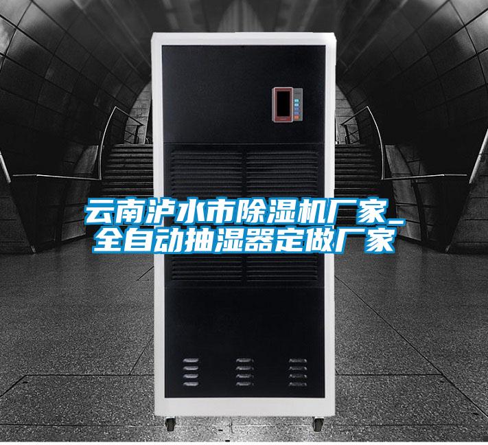 云南瀘水市除濕機廠家_全自動抽濕器定做廠家