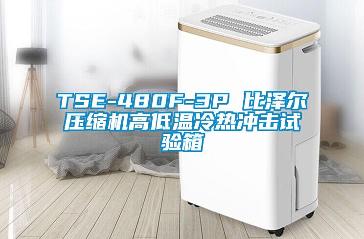 TSE-480F-3P 比澤爾壓縮機(jī)高低溫冷熱沖擊試驗箱