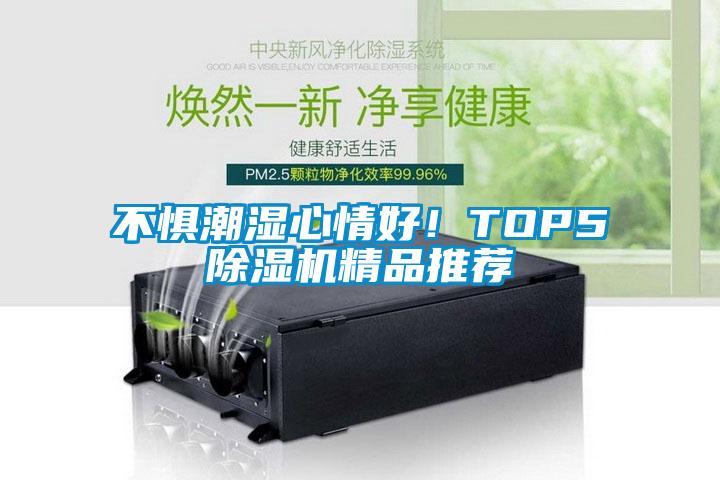 不懼潮濕心情好！TOP5除濕機精品推薦