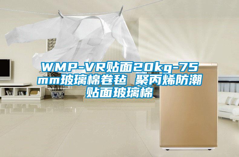 WMP-VR貼面20kg-75mm玻璃棉卷氈 聚丙烯防潮貼面玻璃棉