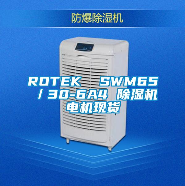 ROTEK  SWM65／30-6A4 除濕機(jī)電機(jī)現(xiàn)貨