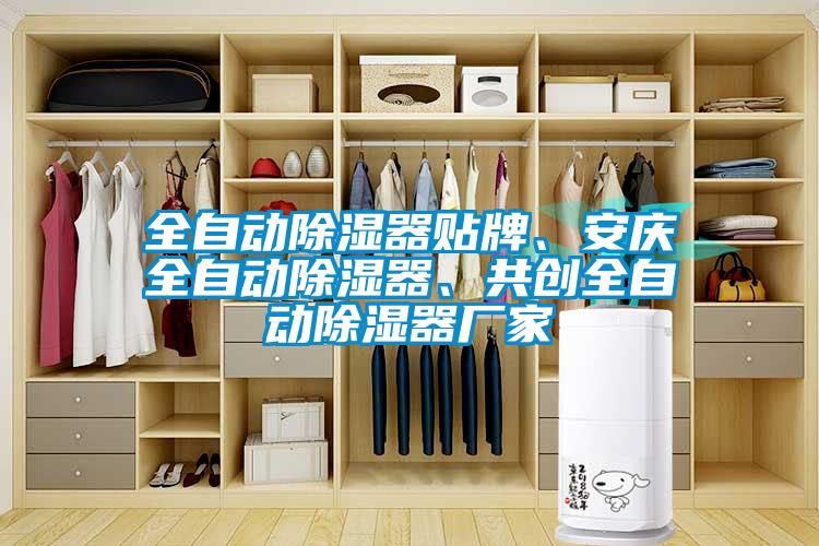 全自動除濕器貼牌、安慶全自動除濕器、共創(chuàng)全自動除濕器廠家