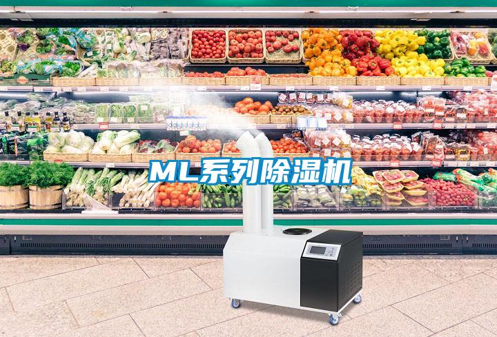 ML系列除濕機