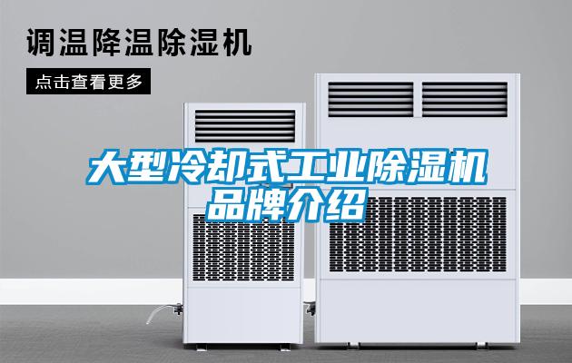 大型冷卻式工業(yè)除濕機品牌介紹