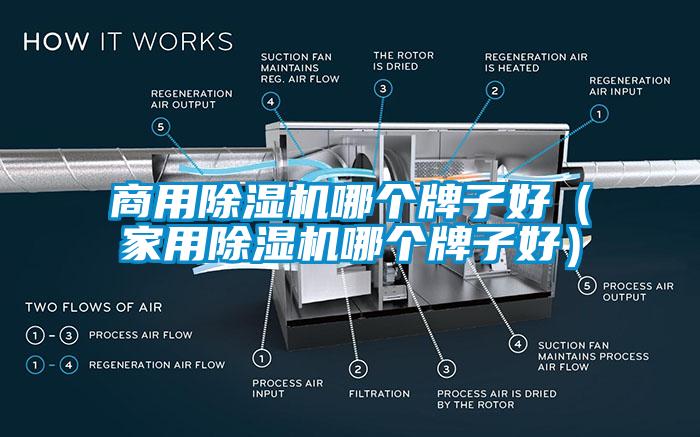 商用除濕機哪個牌子好（家用除濕機哪個牌子好）