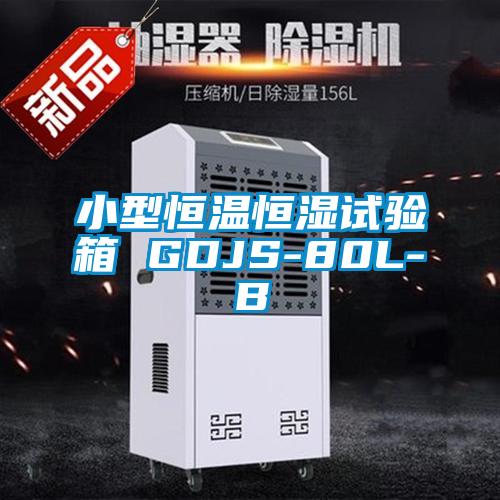 小型恒溫恒濕試驗(yàn)箱 GDJS-80L-B