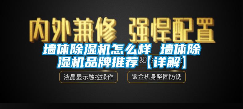 墻體除濕機怎么樣 墻體除濕機品牌推薦【詳解】