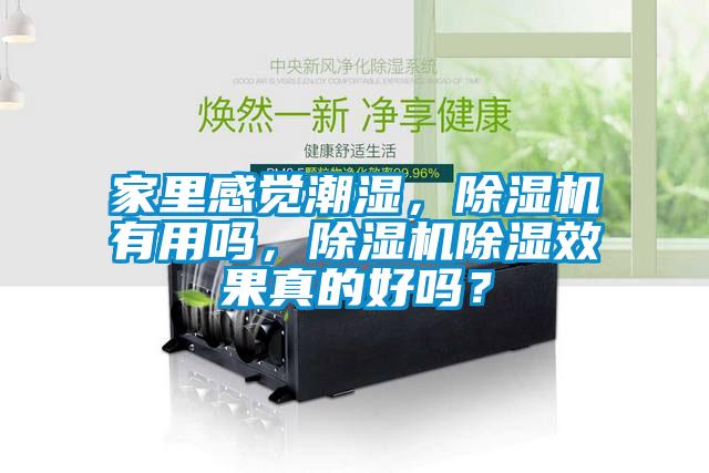 家里感覺潮濕，除濕機有用嗎，除濕機除濕效果真的好嗎？