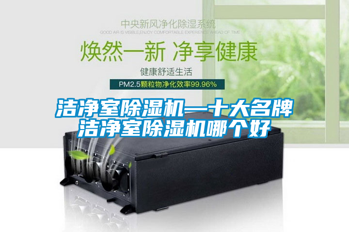 潔凈室除濕機(jī)—十大名牌潔凈室除濕機(jī)哪個(gè)好