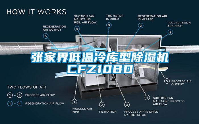 張家界低溫冷庫型除濕機(jī)CFZ10BD