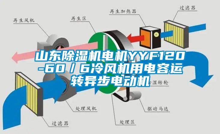 山東除濕機電機YYF120-60／6冷風(fēng)機用電容運轉(zhuǎn)異步電動機