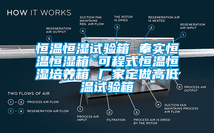 恒溫恒濕試驗(yàn)箱 奉實(shí)恒溫恒濕箱 可程式恒溫恒濕培養(yǎng)箱 廠家定做高低溫試驗(yàn)箱